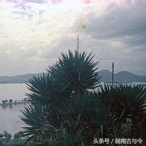深入探讨《王者荣耀》江个湖2服的命名背景：为何叫做这个名字？